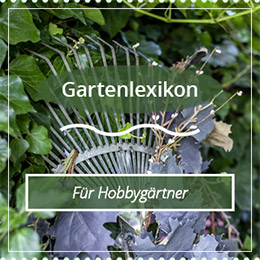 Gartenlexikon - Lexikon der Pflanzenfamilien