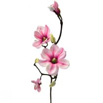 65cm Magnolienzweig, Floristik24.de 3St-08249 Kunstblume Pink künstlich Magnolie