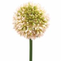 Artikel Zierlauch Allium künstlich Rosa/Grün Ø8cm 58cm