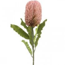 Artikel Kunstblume Banksia Rosa Herbstdeko Gedenkfloristik 64cm