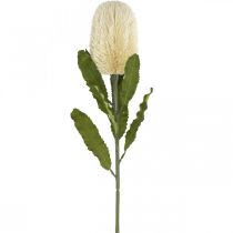 Artikel Kunstblume Banksia Weiß Creme Künstliche Exoten 64cm