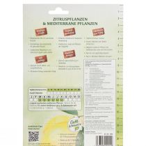 Artikel Chrysal Düngestäbchen Zitruspflanzen & Mediterrane Pflanzen 20 St