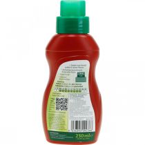 Artikel Chrysal Kakteen Kakteendünger Spezialdünger 250ml