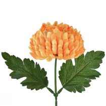 Artikel Chrysantheme Orange Ø7cm L18cm 1St