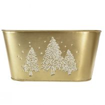 Artikel Deko Schale oval Tannenbaum Übertopf Gold 24×13×12,5cm