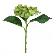 Artikel Künstliche Hortensie, Blumendeko, Seidenblume Grün L44cm