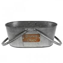 Artikel Pflanzkorb “Grünes Glück”, Metalldeko zum Bepflanzen, Gartendeko Silbern, Edelrost L40cm H15cm