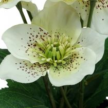 Artikel Lenzrose Nieswurz Christrose Topf Kunstblumen H25cm Weiß