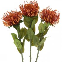 Artikel Nadelkissen Exotische Kunstblume Orange Leucospermum Protea 73cm 3St