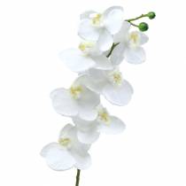 Artikel Künstliche Orchidee Kunstblume Weiß Ø6,5-8cm 77cm