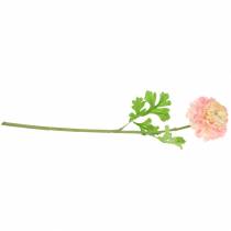 Artikel Ranunkel Rosa H45cm