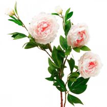 Artikel Seidenblume Pfingstrose künstlich Hellrosa, Weiß 135cm