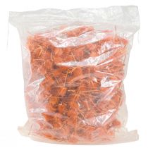Artikel Wilde Karden Orange Kardendistel getrocknet Deko 1kg