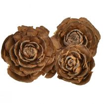 Zapfen von Zeder geschnitten als Rose Cedarrose 4-6cm natur 50St.