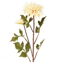 Artikel Chrysantheme Creme Künstliche Blume mit 2 Blüten L70cm