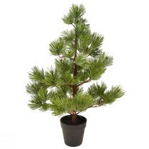 Artikel Kiefer im Topf Künstlich Mini Weihnachtsbaum Grün H72cm