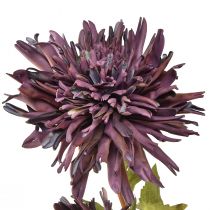 Artikel Künstliche Chrysantheme 2 Blüten Violett Ø5/11cm L70cm