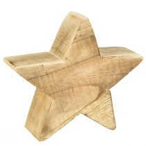 Rustikaler Deko-Stern aus Paulowniaholz – Natürliche Holzoptik, 25x8 cm – Vielseitige Raumdekoration
