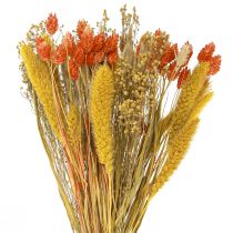 Trockenblumenstrauß mit Getreide Orange Gelb 50cm