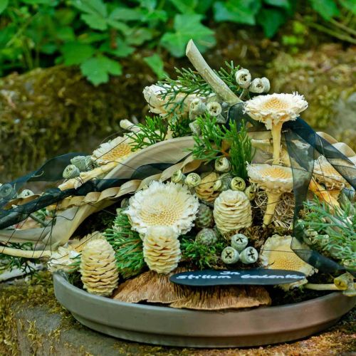 Artikel Susanne Rosette gebleicht 25 St