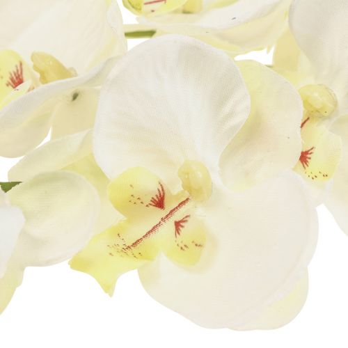 Floristik24 Phalaenopsis Künstliche Orchideen Kunstblumen Weiß 70cm