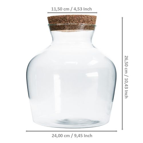 Floristik24 Deko Glas mit Korken Deko Vase mit Deckel H25cm Ø24cm