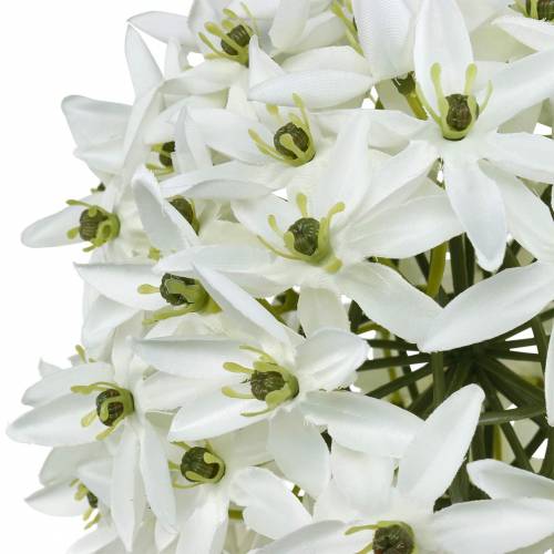 künstlicher Allium, Kugellauch, Zierlauch Weiß L72cm-11913 Ø20cm Floristik24.de Deko-Blume