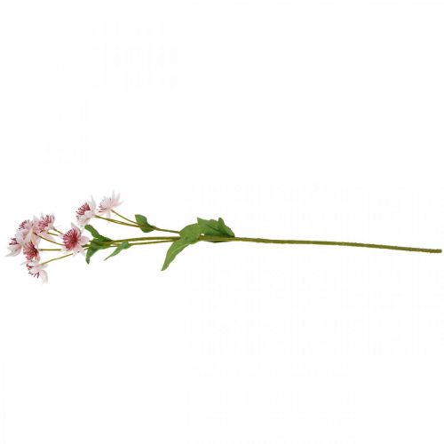 Artikel Große Sterndolde, künstliche Astrania, Seidenblume Weiß, Pink L61cm