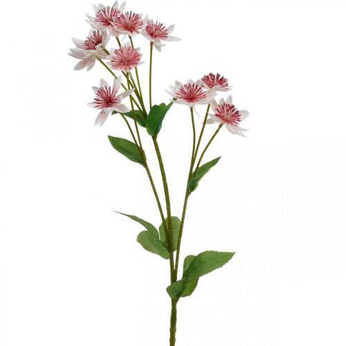 Artikel Große Sterndolde, künstliche Astrania, Seidenblume Weiß, Pink L61cm