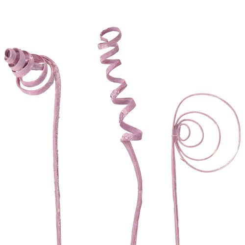 Artikel Cane Coil Cane Cone Cane Sortiment Berry 30cm 75 St