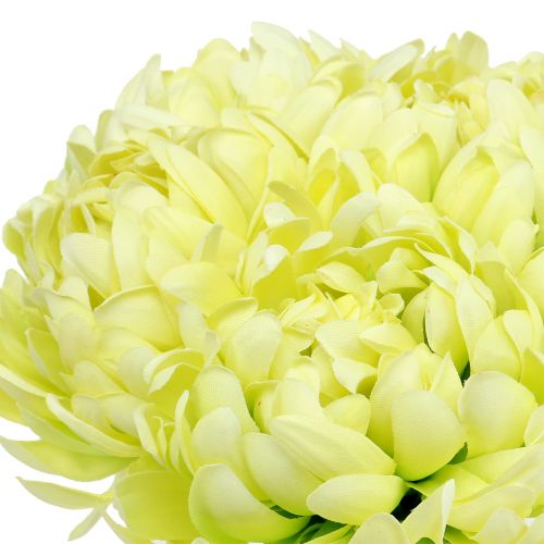 Floristik24.de Strauß aus Creme, 6St-87549 28cm Gelb Chrysanthemen künstlich