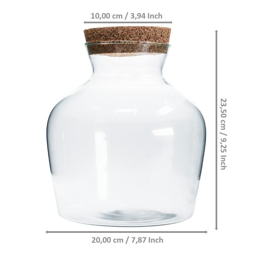 Floristik24 Deko Glas mit Korken Deko Vase Klar Bauchig Ø20cm H21cm