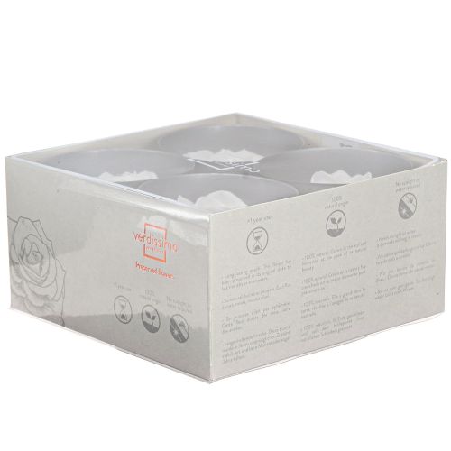 Floristik24 Echte Rosenköpfe Infinity Rosen Weiß Premium Ø8,5cm 4 St