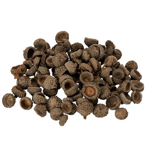 Artikel Eichelkappen natur Dekoschalen Herbst und Advent 2cm 300g