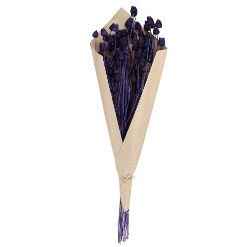 Artikel Erdbeerdisteln Trockendistel Distel Deko Violett 44-58cm 100g