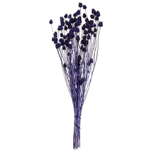 Artikel Erdbeerdisteln Trockendistel Distel Deko Violett 44-58cm 100g