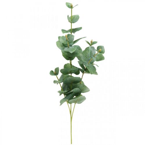 Deko Floristik24.de Künstliche Grünpflanze 75cm-00671 Eukalyptuszweig Eukalyptus