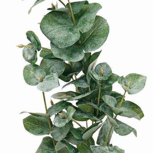 Floristik24.de Eukalyptuszweig Künstlicher Eukalyptus Dekozweig-11939