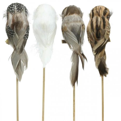 Floristik24 Blumenstecker Deko Eule mit Federn Weiß, Braun H15cm 4St