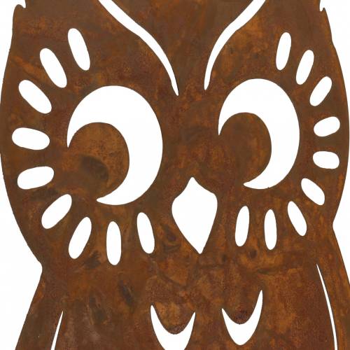 Floristik24 Eule Edelrost auf Birkenstamm 42cm x 36cm