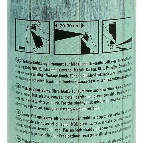 Floristik24 Farbspray Vintage Grün 400ml