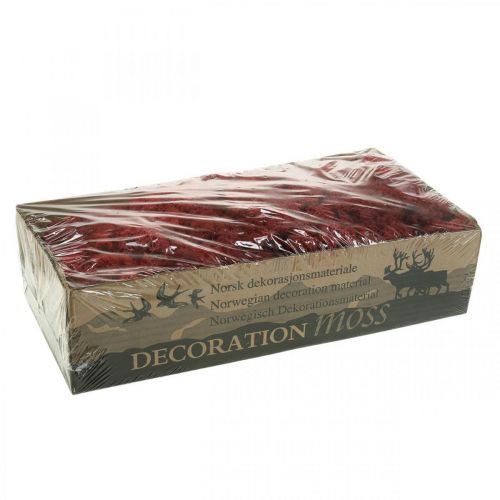 Artikel Deko-Moos Rot Bordeaux Islandmoos zum Basteln 400g