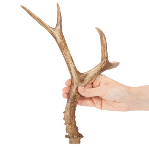 Artikel Künstliches Geweih naturgetreu rustikal 32cm