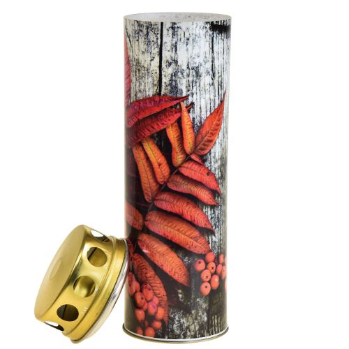 Floristik24 Grabkerzen Trauerkerzen Herbst Motive Farbe Ø6cm H20cm 6St