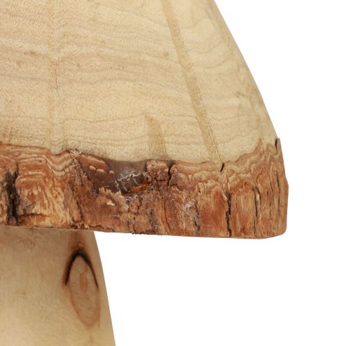 Floristik24 Holzpilze Deko Pilze Holz Deko Natur Tischdeko Herbst Ø14cm H36cm