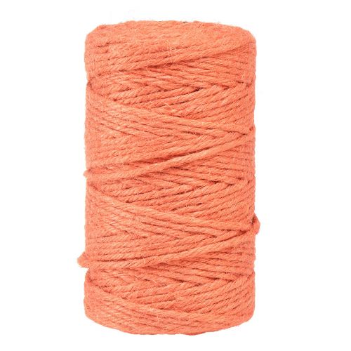 Floristik24 Juteband Jutekordel Dekoband Jute Orange Ø4mm 100m