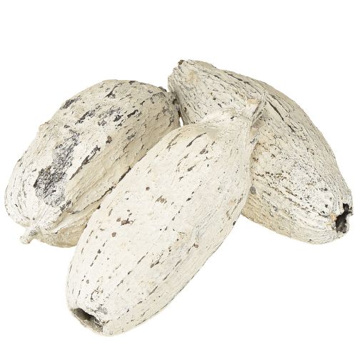 Artikel Kakaofrüchte weißgewaschen 15 St