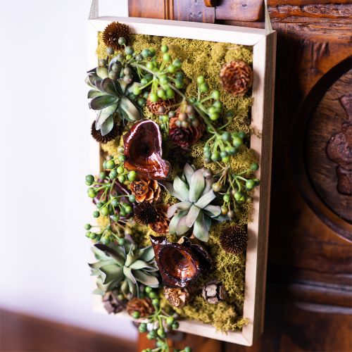 Artikel Kalix Pilz Natur lackiert Trockenpilze Deko Groß 50 St