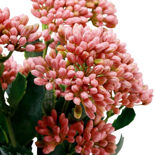 Artikel Künstliche Fette Henne Sedum Mauerpfeffer blühend Rosa 47cm 3St