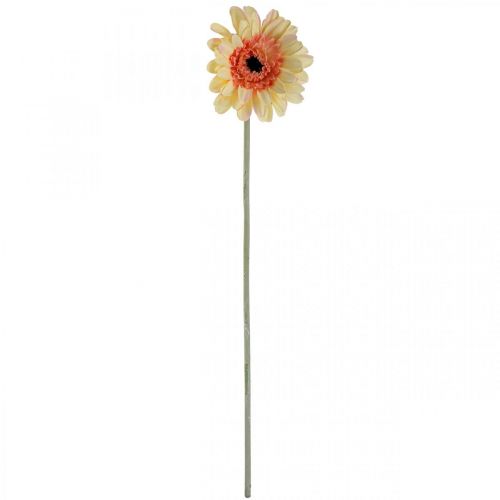 Artikel Künstliche Gerbera Blume Kunstblume Apricot Ø11cm L50cm